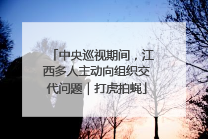 中央巡视期间，江西多人主动向组织交代问题｜打虎拍蝇