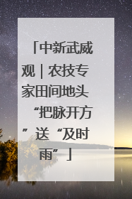 中新武威观｜农技专家田间地头“把脉开方”送“及时雨”