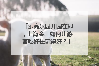 乐高乐园开园在即，上海金山如何让游客吃好住玩得好？