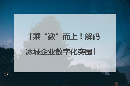 乘“数”而上！解码冰城企业数字化突围
