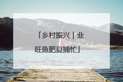 乡村振兴｜业旺鱼肥夏捕忙