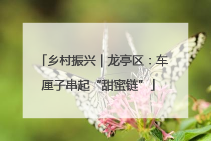 乡村振兴｜龙亭区：车厘子串起“甜蜜链”