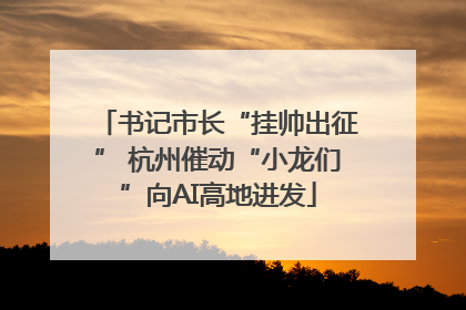 书记市长“挂帅出征” 杭州催动“小龙们”向AI高地进发