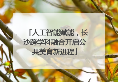 人工智能赋能，长沙跨学科融合开启公共美育新进程