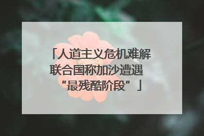 人道主义危机难解 联合国称加沙遭遇“最残酷阶段”