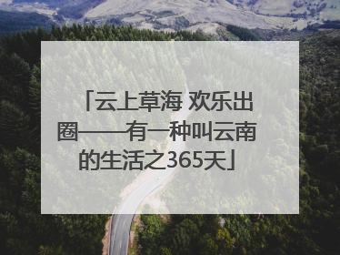 云上草海 欢乐出圈——有一种叫云南的生活之365天