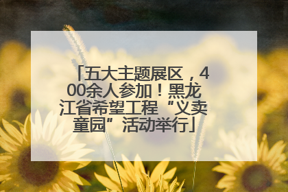 五大主题展区，400余人参加！黑龙江省希望工程“义卖童园”活动举行