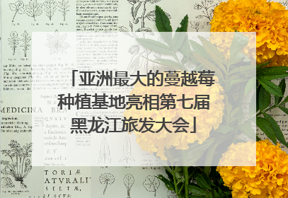 亚洲最大的蔓越莓种植基地亮相第七届黑龙江旅发大会