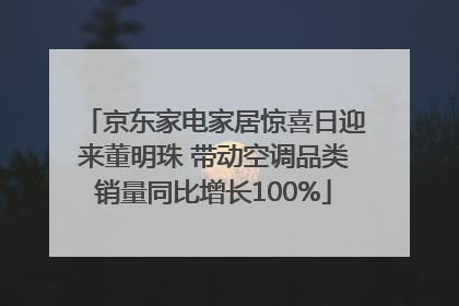 京东家电家居惊喜日迎来董明珠 带动空调品类销量同比增长100%