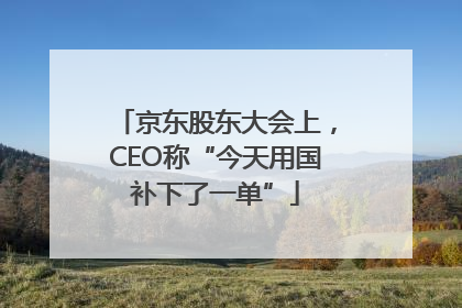 京东股东大会上，CEO称“今天用国补下了一单”