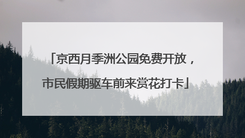 京西月季洲公园免费开放，市民假期驱车前来赏花打卡