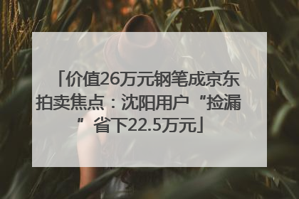 价值26万元钢笔成京东拍卖焦点：沈阳用户“捡漏”省下22.5万元