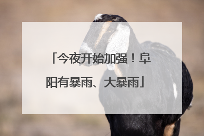 今夜开始加强！阜阳有暴雨、大暴雨
