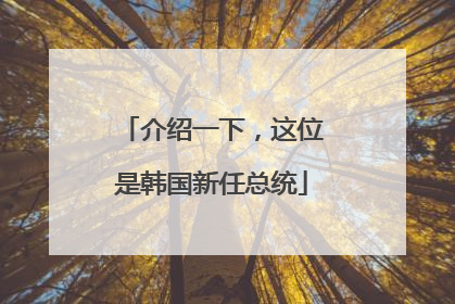 介绍一下，这位是韩国新任总统