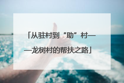从驻村到“助”村——龙树村的帮扶之路
