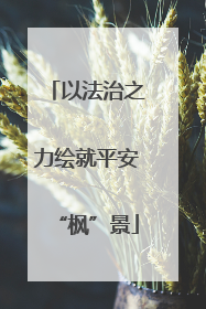 以法治之力绘就平安“枫”景
