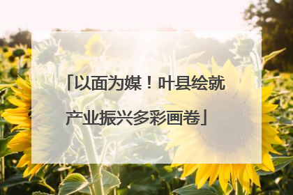 以面为媒！叶县绘就产业振兴多彩画卷