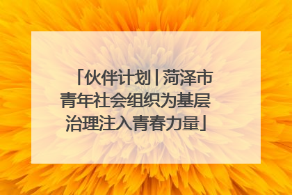 伙伴计划│菏泽市青年社会组织为基层治理注入青春力量