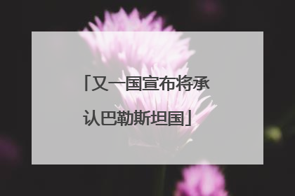 又一国宣布将承认巴勒斯坦国