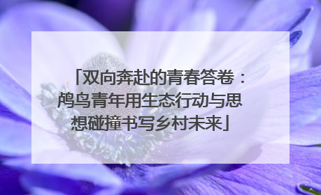 双向奔赴的青春答卷：鸬鸟青年用生态行动与思想碰撞书写乡村未来
