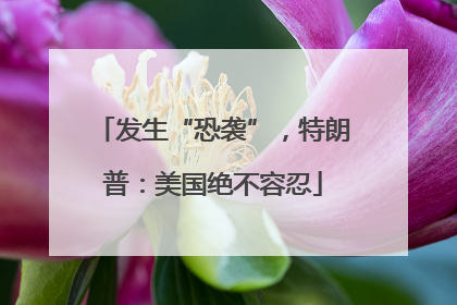 发生“恐袭”，特朗普：美国绝不容忍
