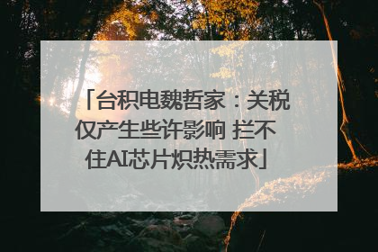 台积电魏哲家：关税仅产生些许影响 拦不住AI芯片炽热需求