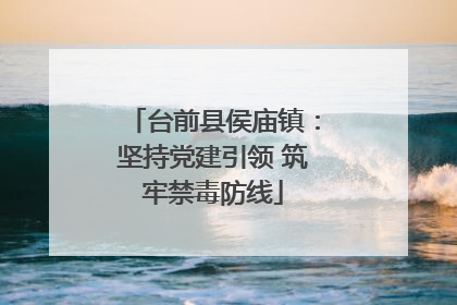 台前县侯庙镇：坚持党建引领 筑牢禁毒防线