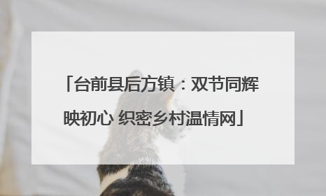 台前县后方镇：双节同辉映初心 织密乡村温情网