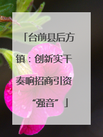 台前县后方镇：创新实干奏响招商引资“强音”