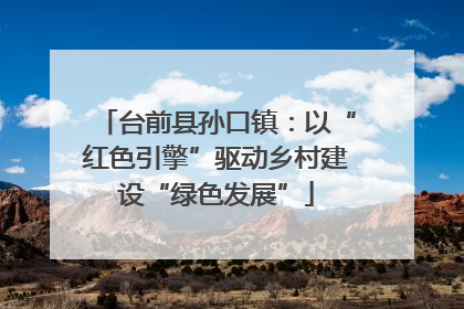 台前县孙口镇：以“红色引擎”驱动乡村建设“绿色发展”