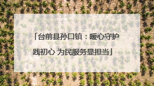 台前县孙口镇：暖心守护践初心 为民服务显担当