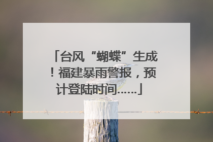 台风“蝴蝶”生成！福建暴雨警报，预计登陆时间……