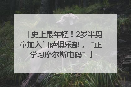 史上最年轻！2岁半男童加入门萨俱乐部，“正学习摩尔斯电码”