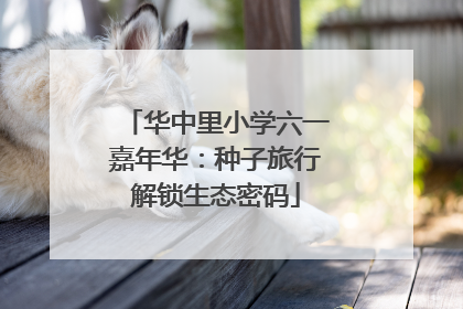 华中里小学六一嘉年华：种子旅行解锁生态密码