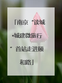 南京“读城•城建微旅行”首站走进颐和路