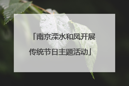 南京溧水和凤开展传统节日主题活动