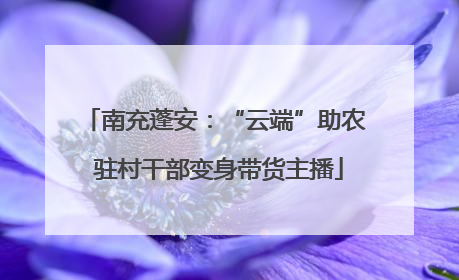 南充蓬安：“云端”助农 驻村干部变身带货主播