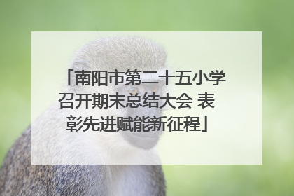 南阳市第二十五小学召开期末总结大会 表彰先进赋能新征程