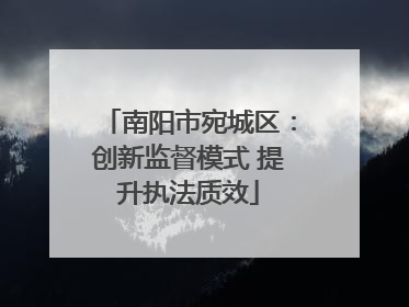 南阳市宛城区：创新监督模式 提升执法质效