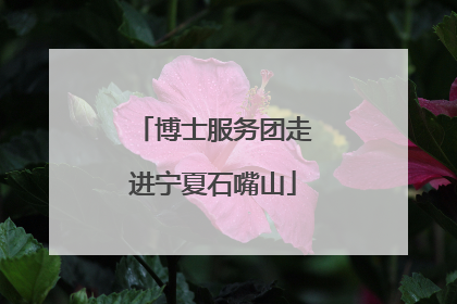 博士服务团走进宁夏石嘴山