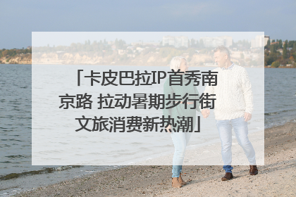 卡皮巴拉IP首秀南京路 拉动暑期步行街文旅消费新热潮