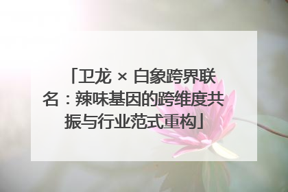 卫龙 × 白象跨界联名：辣味基因的跨维度共振与行业范式重构