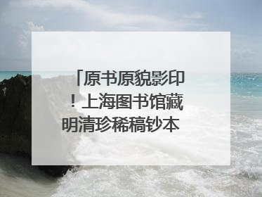 原书原貌影印！上海图书馆藏明清珍稀稿钞本整理出版