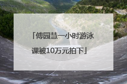 傅园慧一小时游泳课被10万元拍下