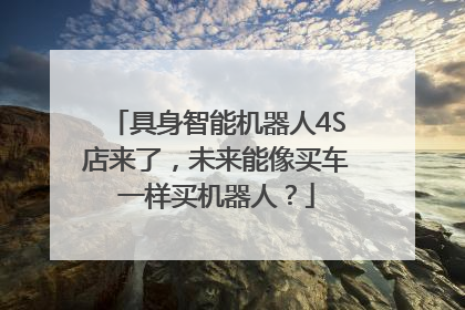 具身智能机器人4S店来了，未来能像买车一样买机器人？