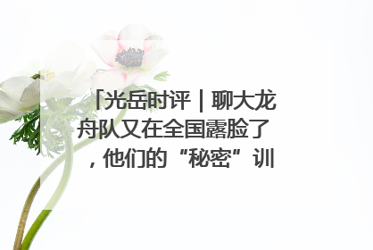 光岳时评｜聊大龙舟队又在全国露脸了，他们的“秘密”训练基地不是秘密！