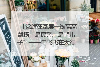 党旗在基层一线高高飘扬｜是民警、是“儿子”——申飞飞在太行山中的一线坚守