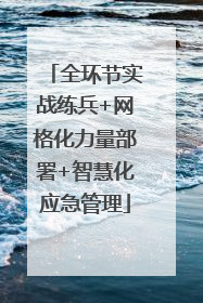 全环节实战练兵+网格化力量部署+智慧化应急管理