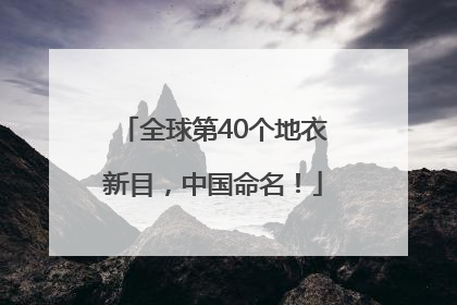 全球第40个地衣新目，中国命名！