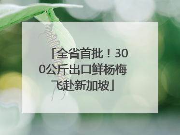 全省首批！300公斤出口鲜杨梅飞赴新加坡